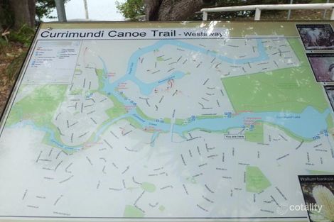 Property photo of 87 Piringa Street Wurtulla QLD 4575