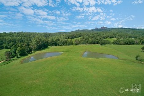 9 Tyalgum Ridge Rd, Tyalgum, NSW 2484