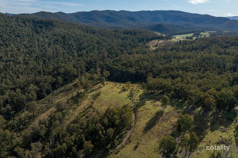 3954 Tulloch Ard Rd, Buchan, VIC 3885