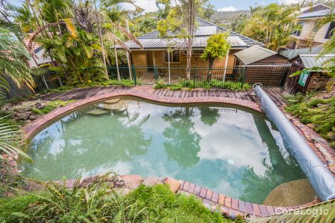 Property photo of 43 Dobbs Street Holland Park West QLD 4121