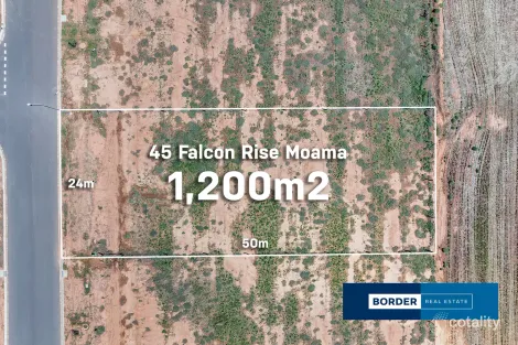 45 Falcon Rise, Moama, NSW 2731