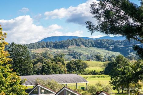 Property photo of 57 Hall Drive Murwillumbah NSW 2484