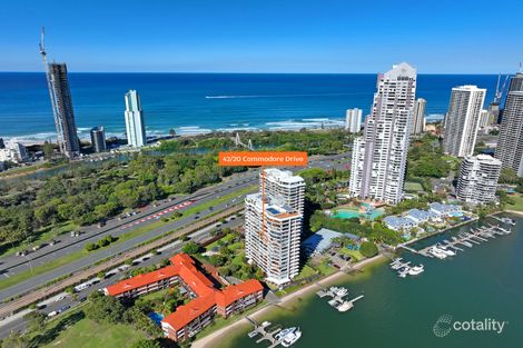 42/20 Commodore Dr, Surfers Paradise, QLD 4217