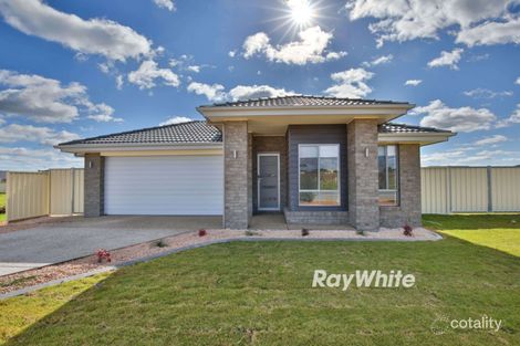 Property photo of 56 Ellswood Crescent Mildura VIC 3500