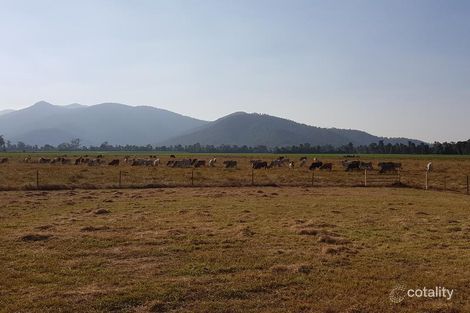 Lot 1 Hamilton Rd, Carruchan, QLD 4816