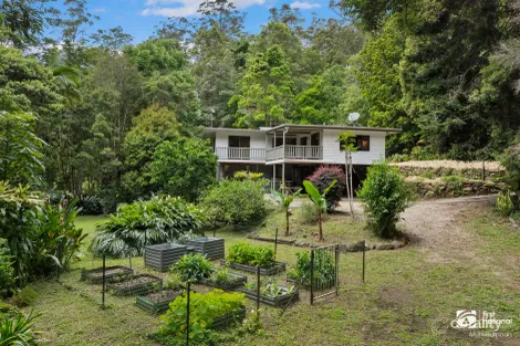 2038 Numinbah Rd, Numinbah, NSW 2484