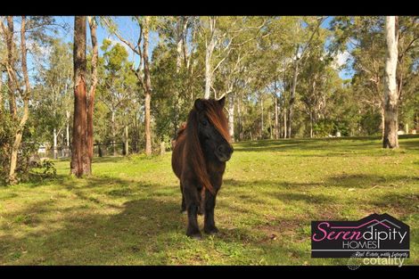 Property photo of 1902 Beaudesert-Beenleigh Road Tamborine QLD 4270