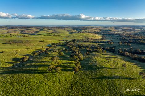 1994 Range Rd, Mummel, NSW 2580