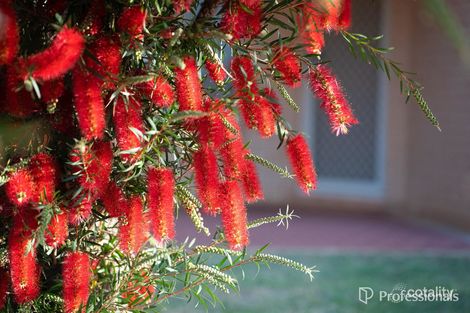 Property photo of 50 Columbus Boulevard Wandina WA 6530