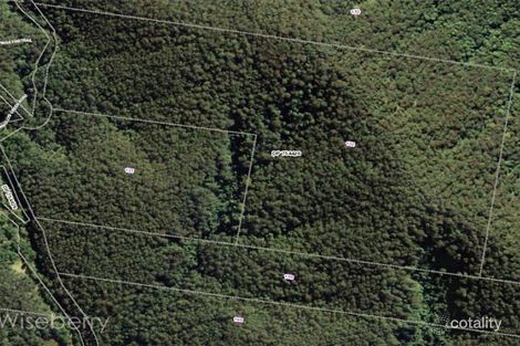 131-159 Nowendoc Rd, Knorrit Flat, NSW 2424