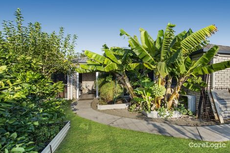 Property photo of 43 Male Road Caboolture QLD 4510