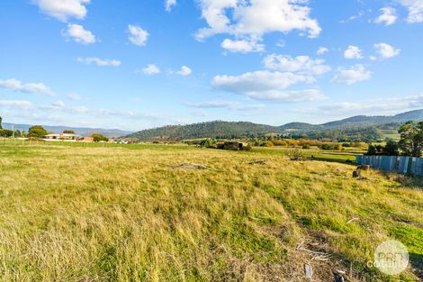 Property photo of 459 Back River Road Magra TAS 7140