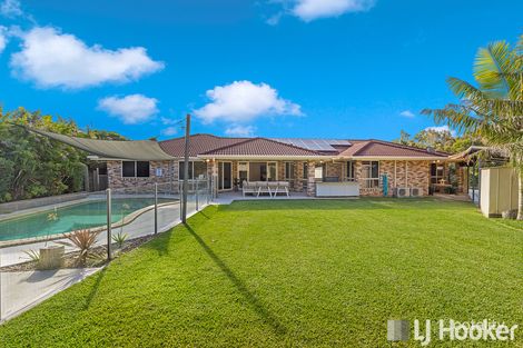 Property photo of 16 Sailfish Court Birkdale QLD 4159