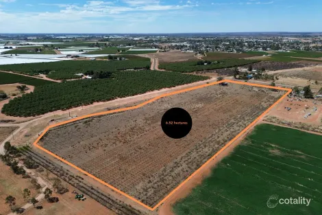 846 Coorong Ave, Red Cliffs, VIC 3496