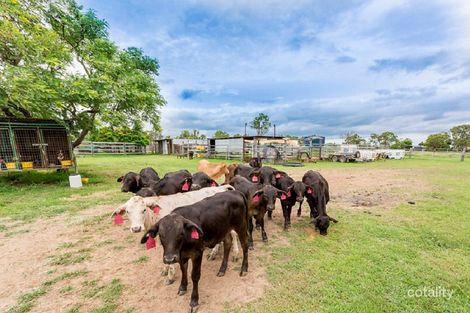 441 Laurel Bank Rd, Alton Downs, QLD 4702