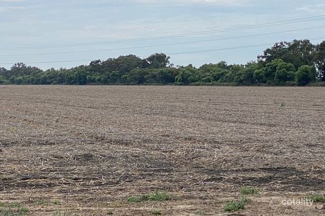 254e Carrigan Rd, Boggabilla, NSW 2409