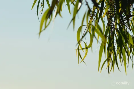 Lot 715 Ironstone Rd, Ascot, VIC 3551