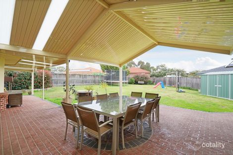 Property photo of 31 She Oak Grove Narellan Vale NSW 2567