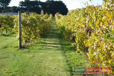 Property photo of 970 Coghills Creek Road Coghills Creek VIC 3364