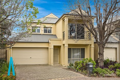 Property photo of 6 Hartley Grove Windsor Gardens SA 5087
