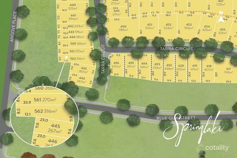 46 Tarra Cct, Mount Barker, SA 5251