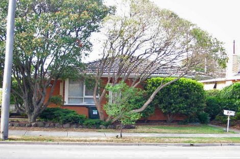 320 Francis St, Yarraville, VIC 3013