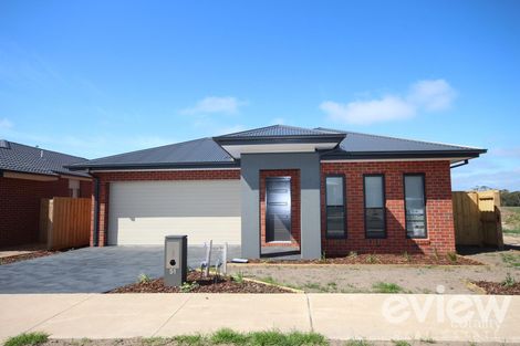 51 Snedden St, Armstrong Creek, VIC 3217