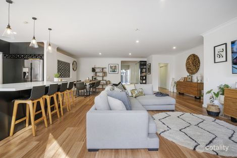 Property photo of 65 Crombie Avenue Bundall QLD 4217