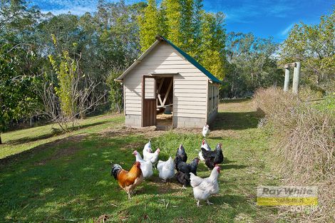 Property photo of 60 Dietz Court Samsonvale QLD 4520