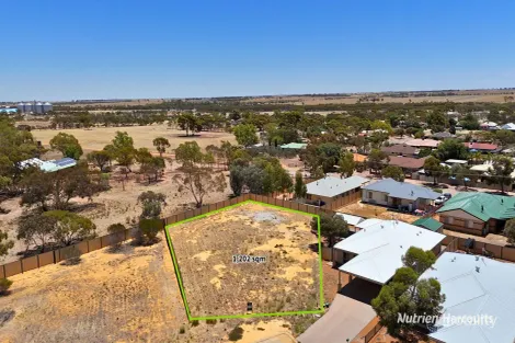 13 Carrington Way, Merredin, WA 6415