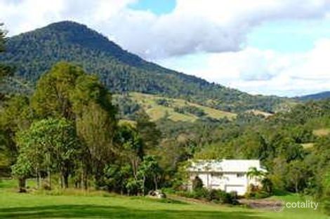 265 Limpinwood Valley Rd, Limpinwood, NSW 2484