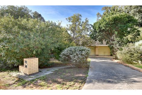 Property photo of 4 Elvira Grove Wattle Park SA 5066
