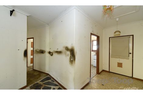 Property photo of 4 Elvira Grove Wattle Park SA 5066