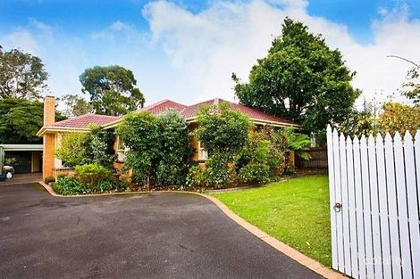 Property photo of 149 Oak Street Beaumaris VIC 3193