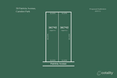 Property photo of 59 Patricia Avenue Camden Park SA 5038