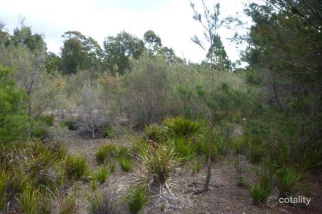 141 Badger Head Rd, Badger Head, TAS 7270