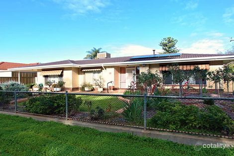 Property photo of 11 Petunia Avenue Pooraka SA 5095