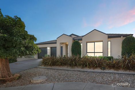 Property photo of 8 Genoa Street Amaroo ACT 2914