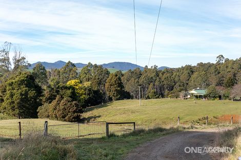 Property photo of 138 Loonah Road Natone TAS 7321