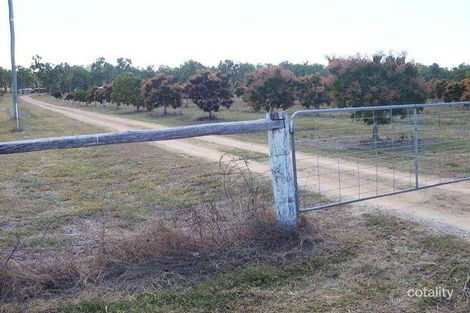 Property photo of 157 Barnham Road Nome QLD 4816