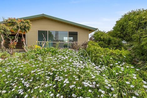 51 Cotton St, Latrobe, TAS 7307
