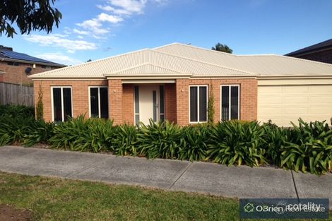 2 Mandalay Ct, Berwick, VIC 3806
