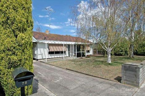 75 Buckingham Rd, Newtown, VIC 3220