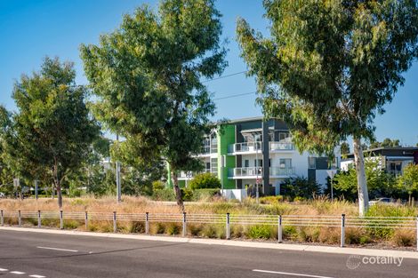 Property photo of 5/329 Flemington Road Franklin ACT 2913