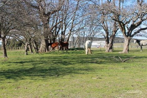 Property photo of 916 Emmaville Road Yarrowford NSW 2370