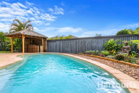Property photo of 72 Pembridge Circuit Urraween QLD 4655