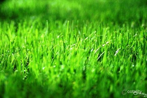 Property photo of 167 Waratah Street Longwarry VIC 3816