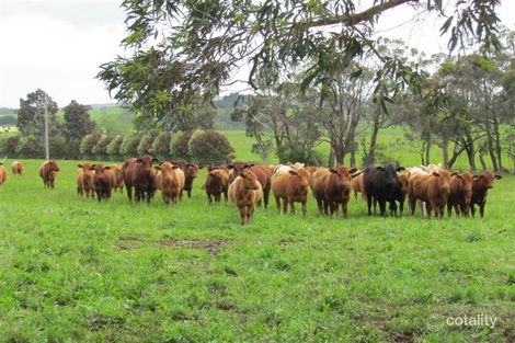 115 Twigg Lane, Drouin South, VIC 3818