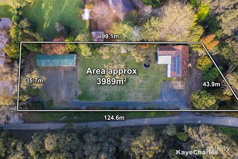 Property photo of 427 Belgrave-Gembrook Road Emerald VIC 3782