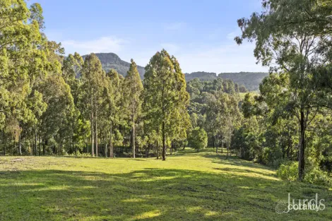 157 Rodney Rd, Mount Vincent, NSW 2323